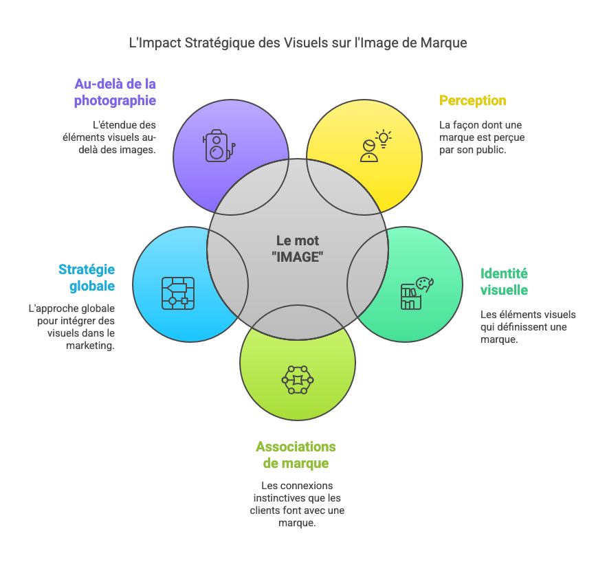 Schéma montrant l'importance stratégique des visuels sur l'image de marque, incluant la perception, l'identité visuelle, les associations de marque, la stratégie globale et l'étendue des éléments visuels au-delà des images en photographe d'entreprise à Lyon