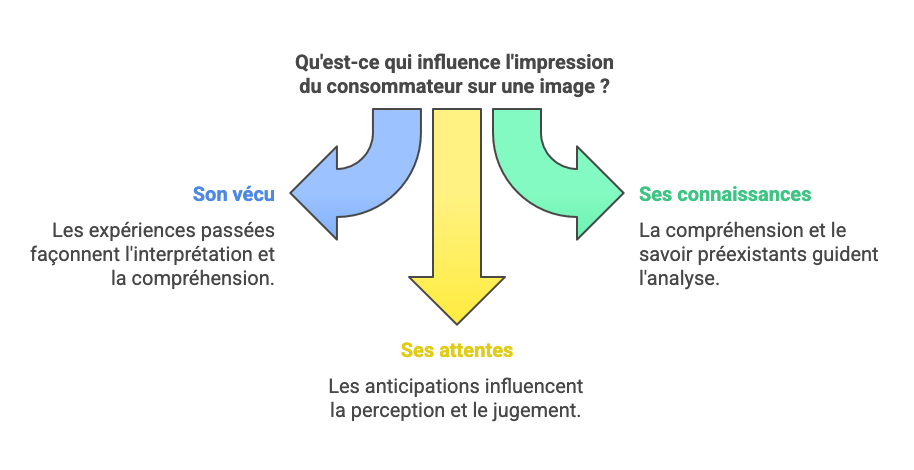 Voici un shéma qui met en évidence trois aspects déterminants de la perception d'une image publicitaire : le vécu personnel du spectateur, son niveau de connaissances et ses attentes face au visuel.