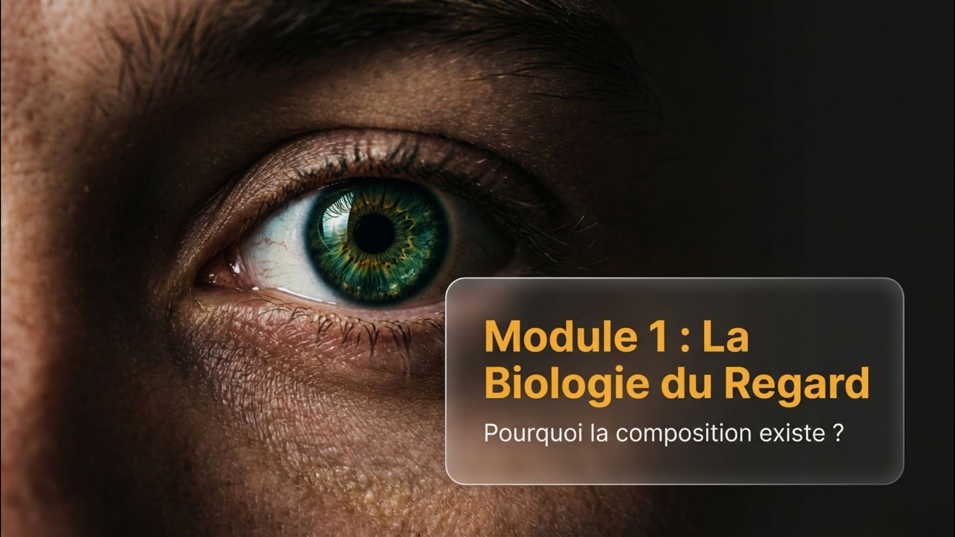 Gros plan détaillé d'un oeil vert avec iris doré, peau texturée, fond noir