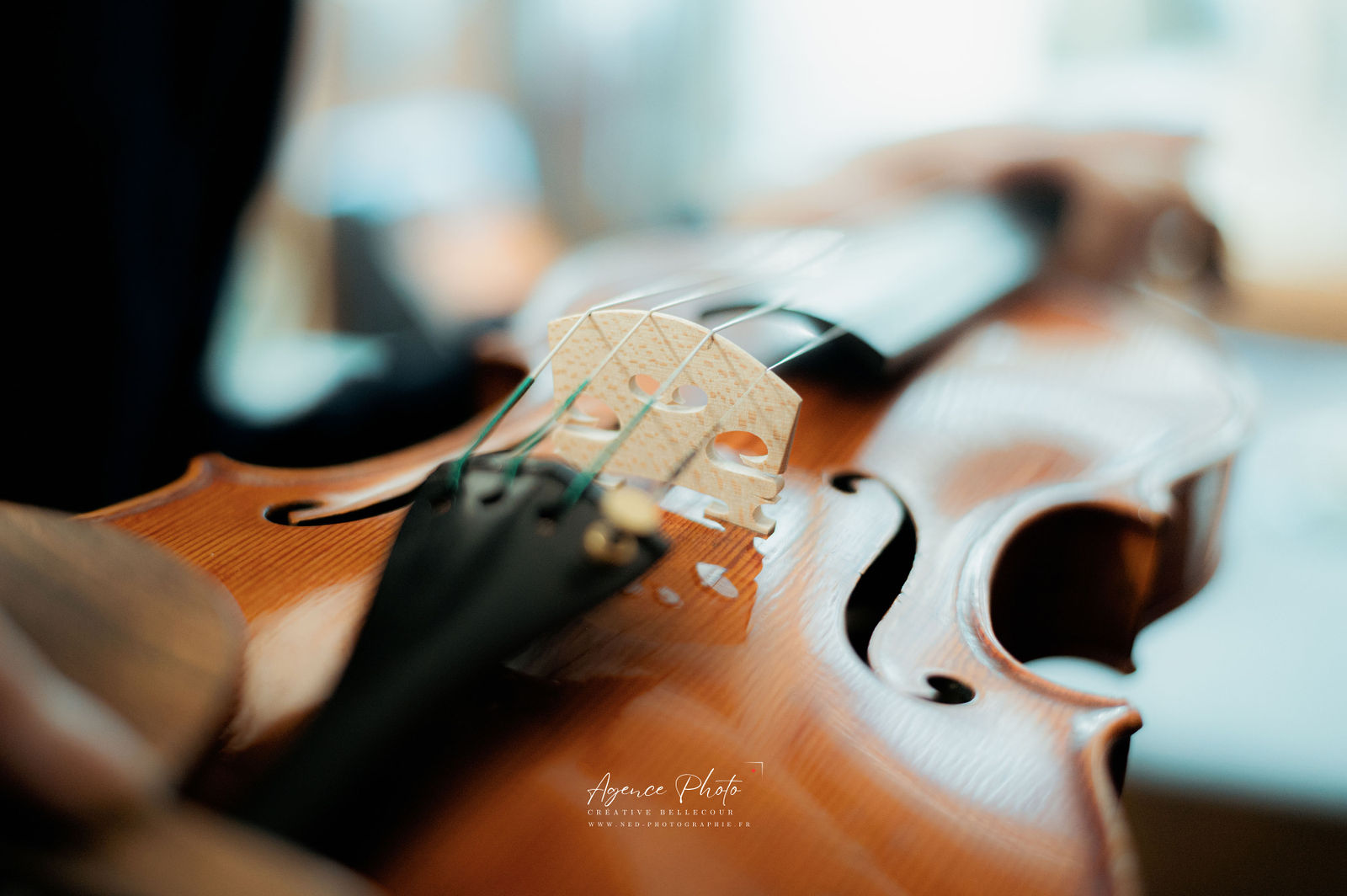 Tête de violon avec chevalet en bois clair et cordes noires, flou artistique en arrière-plan