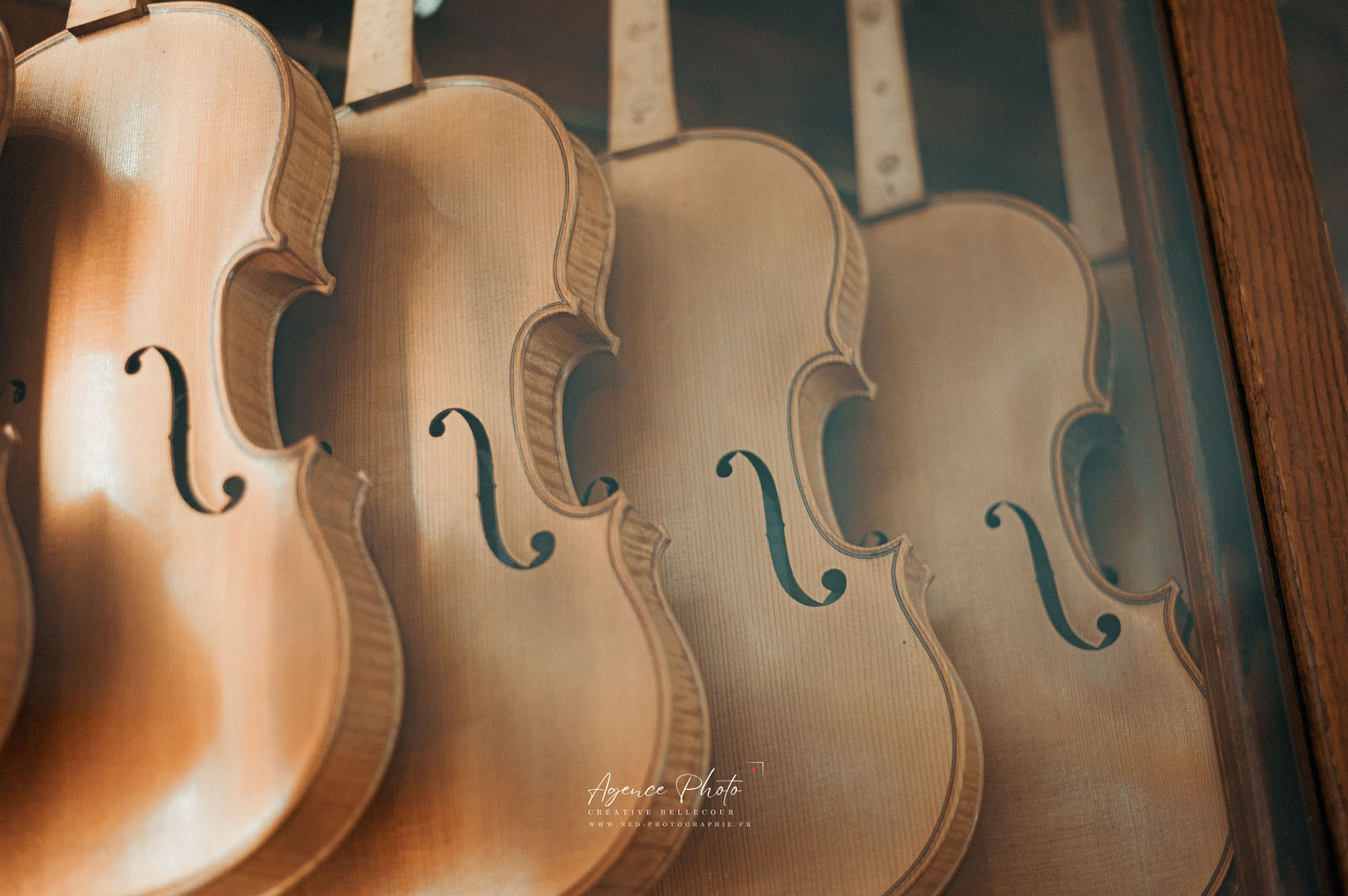 Quatre violons en bois alignés côte à côte, éclairés par la lumière du jour qui souligne les courbes et la texture du bois.