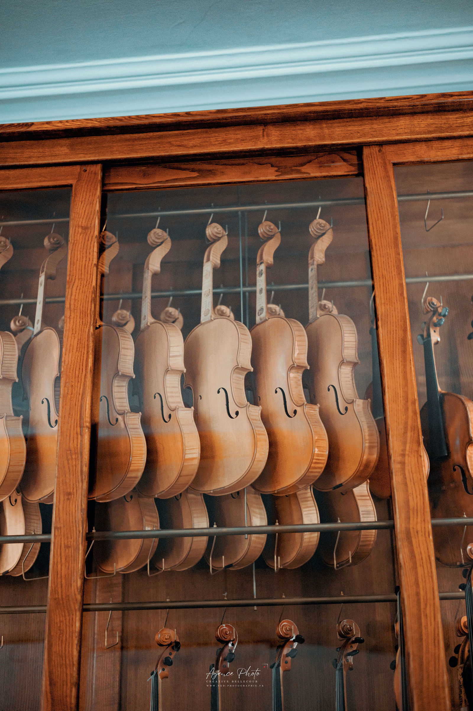 Violons et altos suspendus dans une vitrine en bois massif, rangés en deux rangées, lumière naturelle révélant le grain du bois
