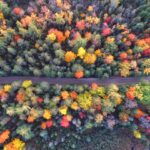 Saturation et Vibrance : deux outils qui ne font pas la même chose
