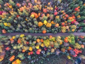 Saturation et Vibrance : deux outils qui ne font pas la même chose