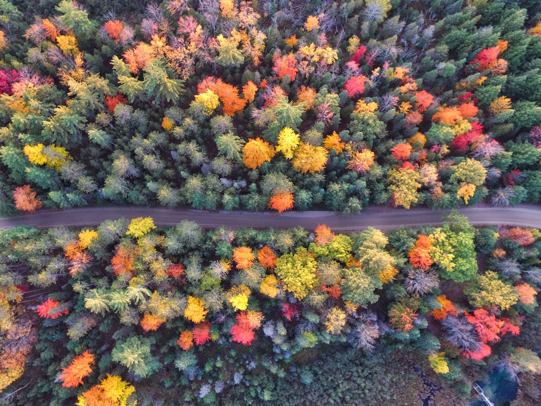 Saturation et Vibrance : deux outils qui ne font pas la même chose