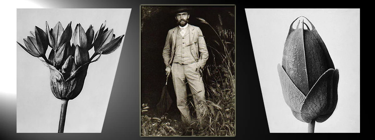 Triptyque noir et blanc, homme en costume de lin debout dans la nature, fleurs stylisees aux details precis