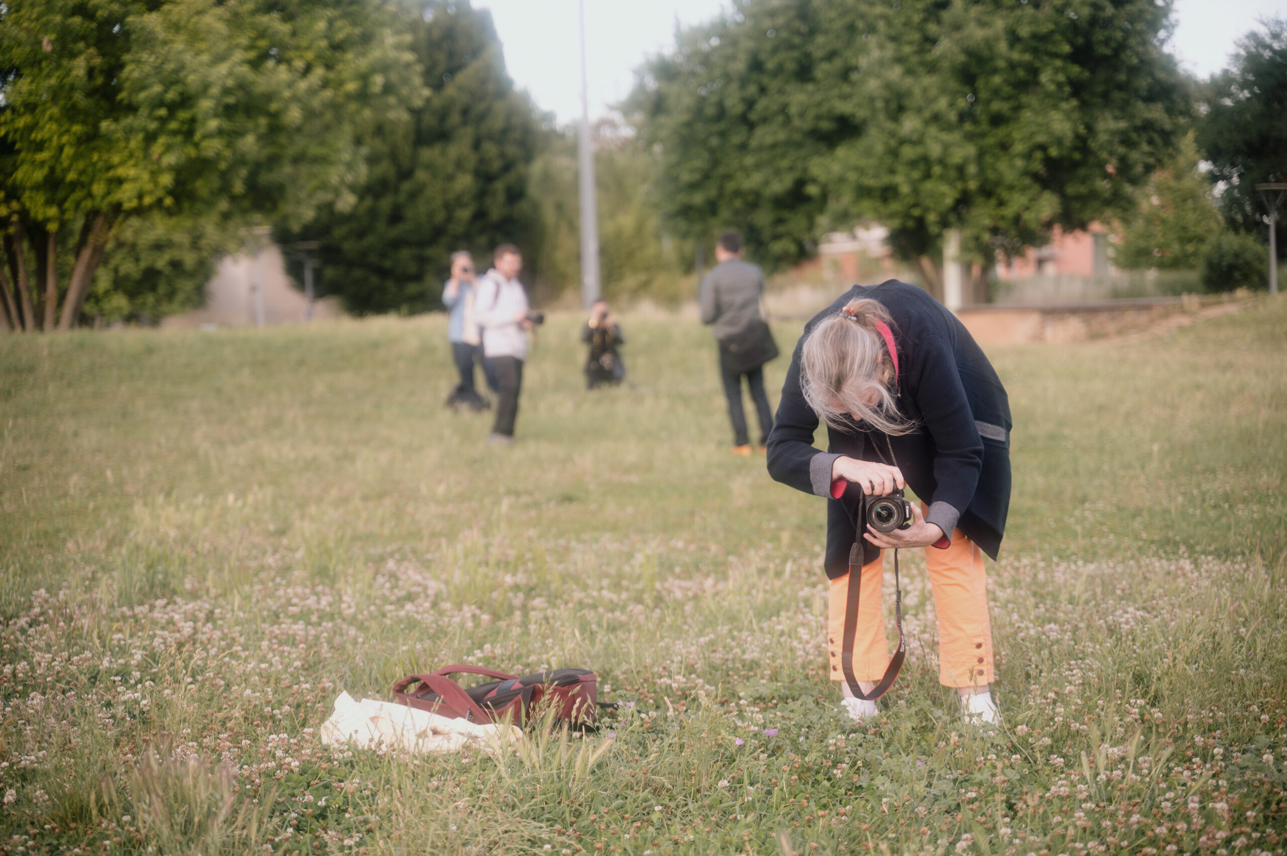 Sortie photo d'insectes au parc de Gerland