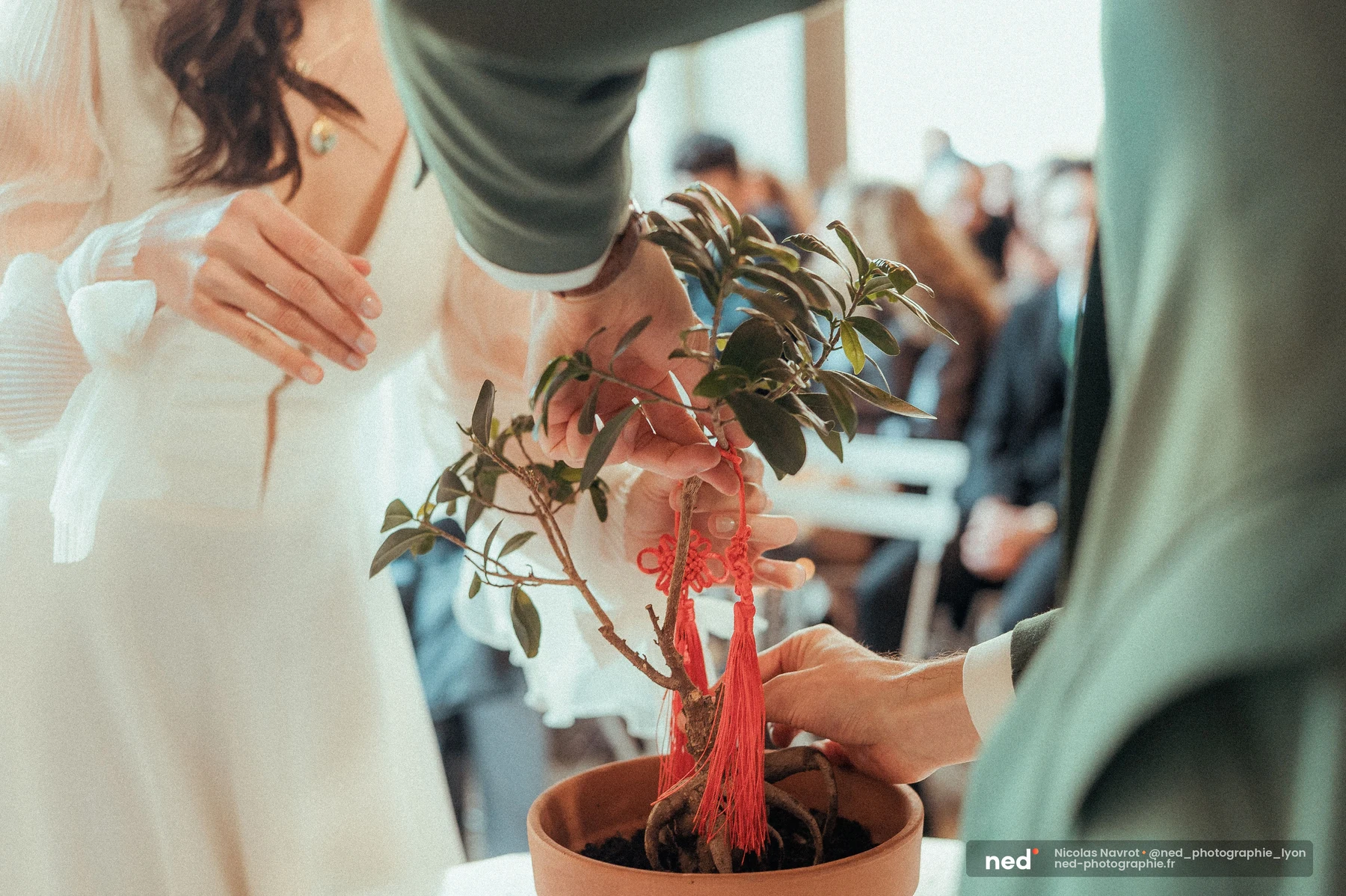 Mariés tenant ensemble un bonsaï décoré d'un nœud chinois rouge lors de la cérémonie, mariage au Domaine de Tourieux