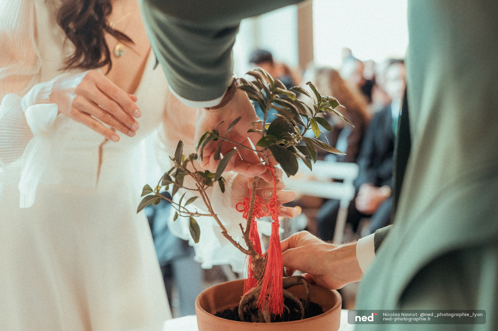 Mariage traditionnel, échange de plante symbolique