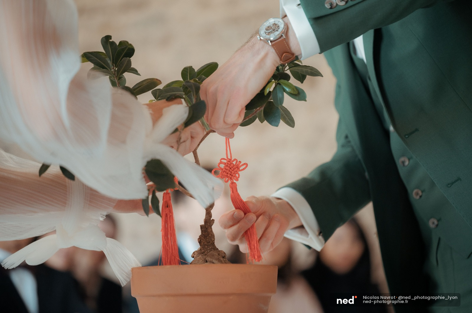 Photo mariage couple avec plante porte-bonheur