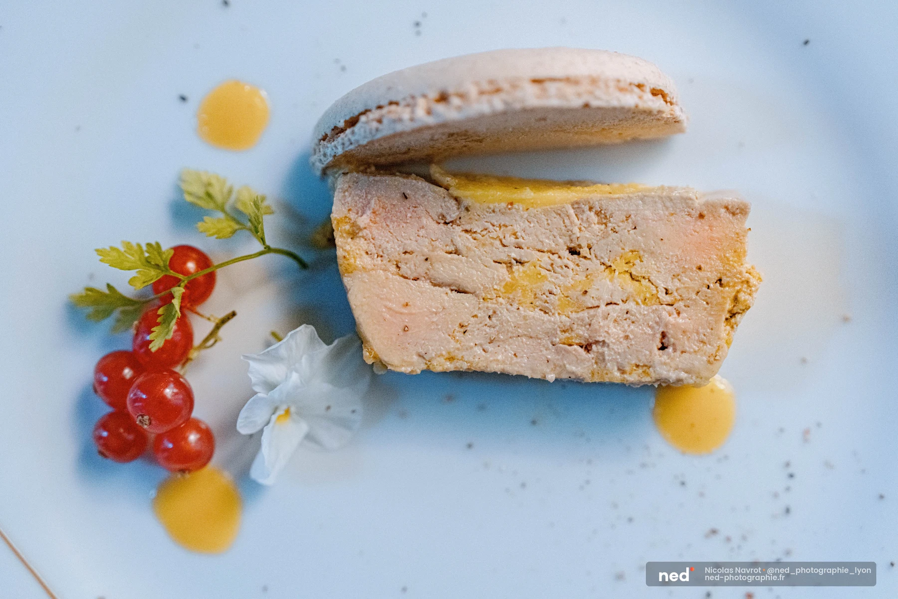 Assiette blanche avec une tranche de foie gras mi-cuit, un macaron rosé, points de coulis doré, groseilles rouges et petite fleur blanche.